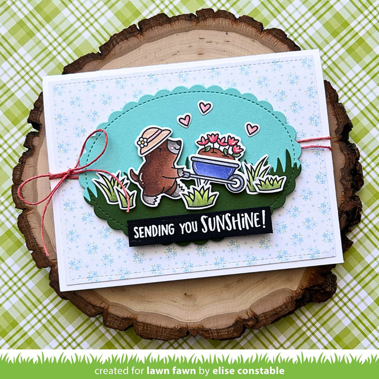 a mole lot of flowers