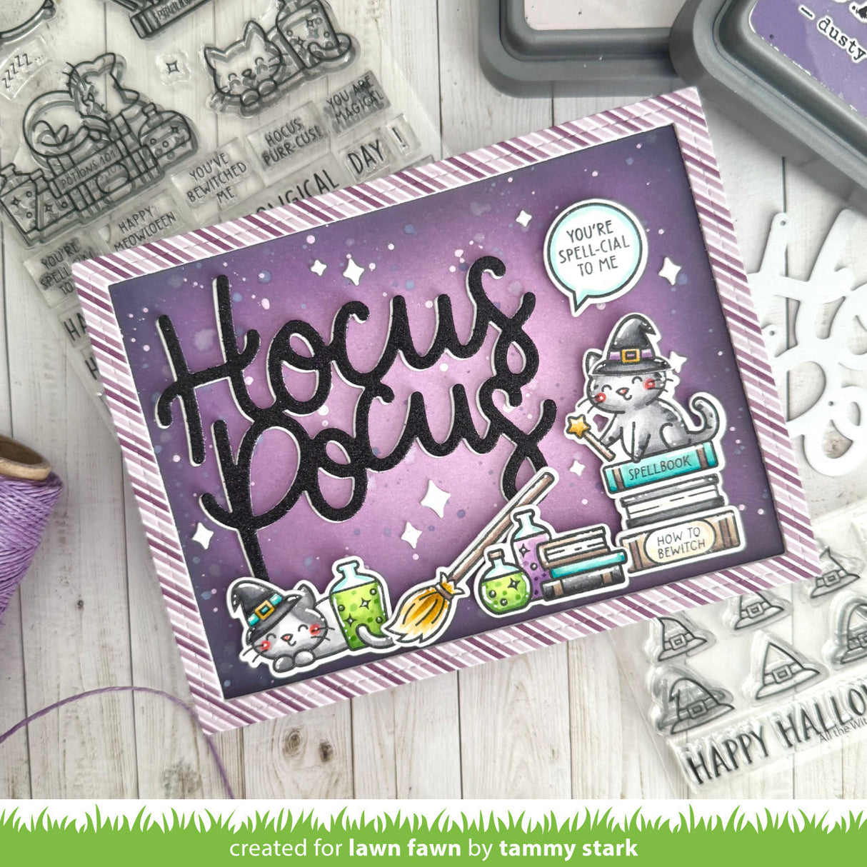 hocus purr-cus!