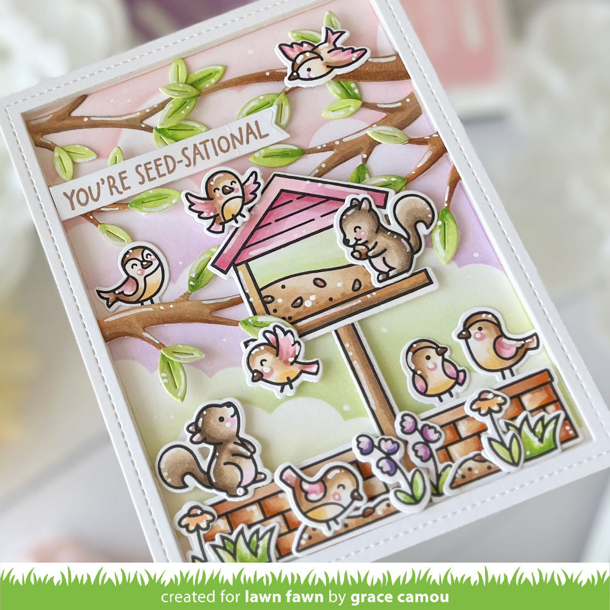 backyard bird feeder add-on