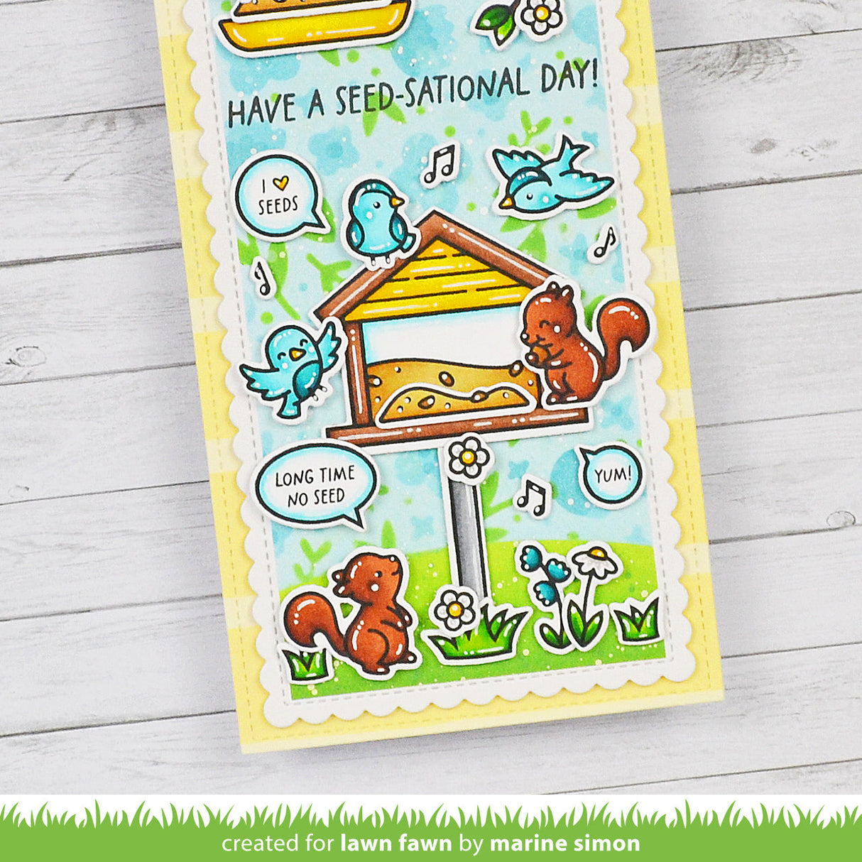 backyard bird feeder add-on