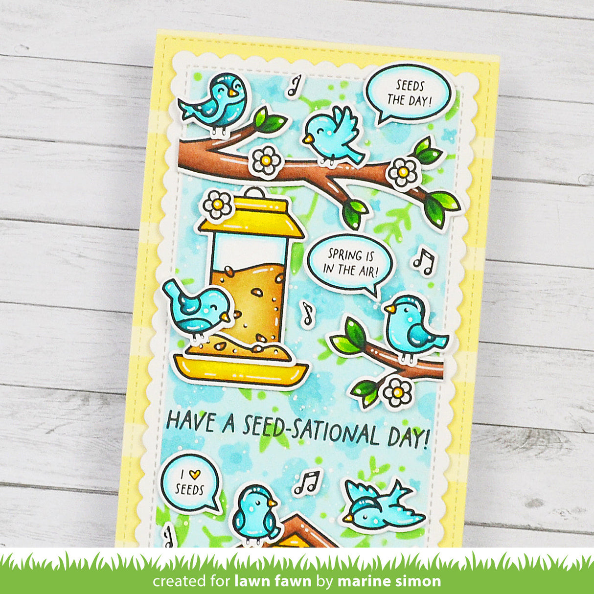 backyard bird feeder