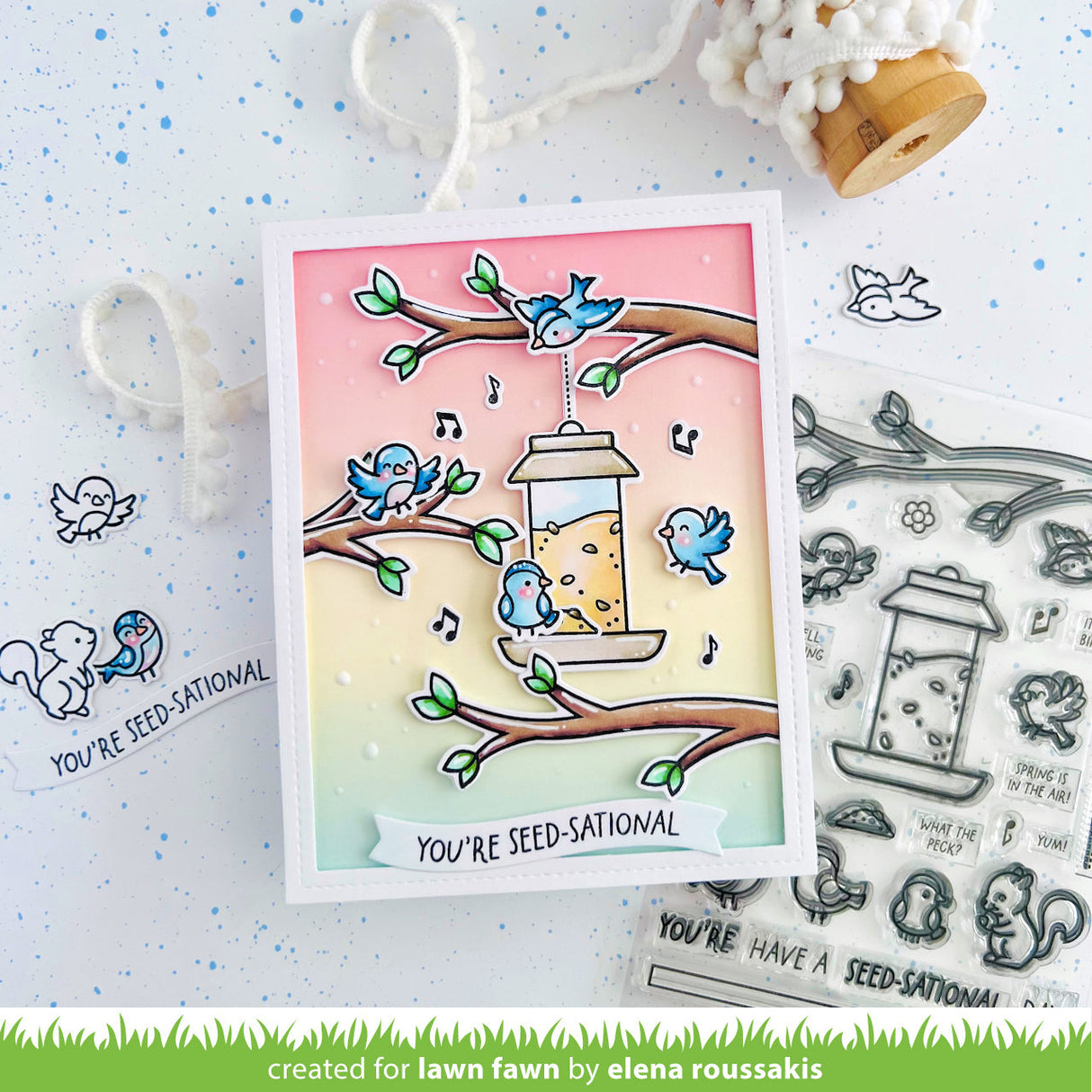 backyard bird feeder