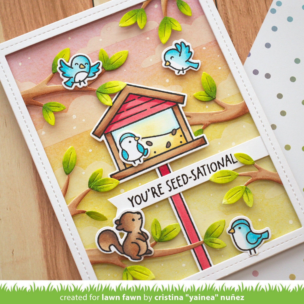 backyard bird feeder add-on