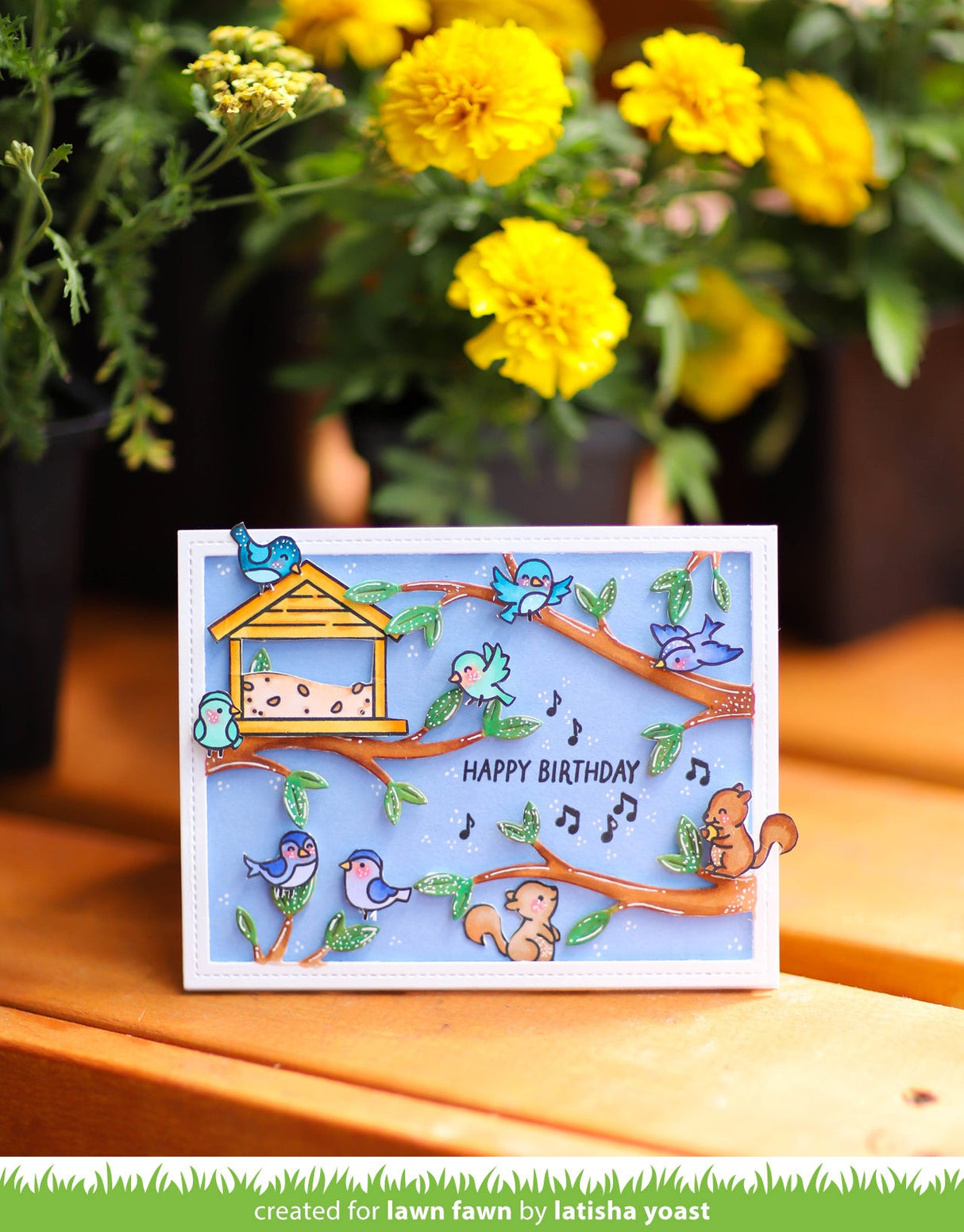 backyard bird feeder add-on