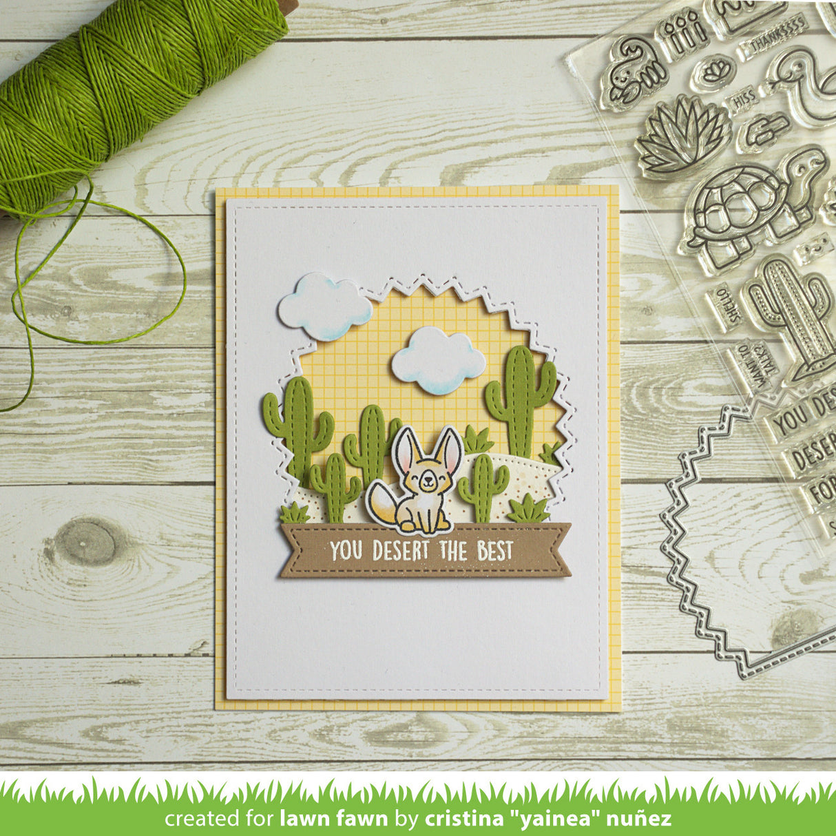 cactus hillside border