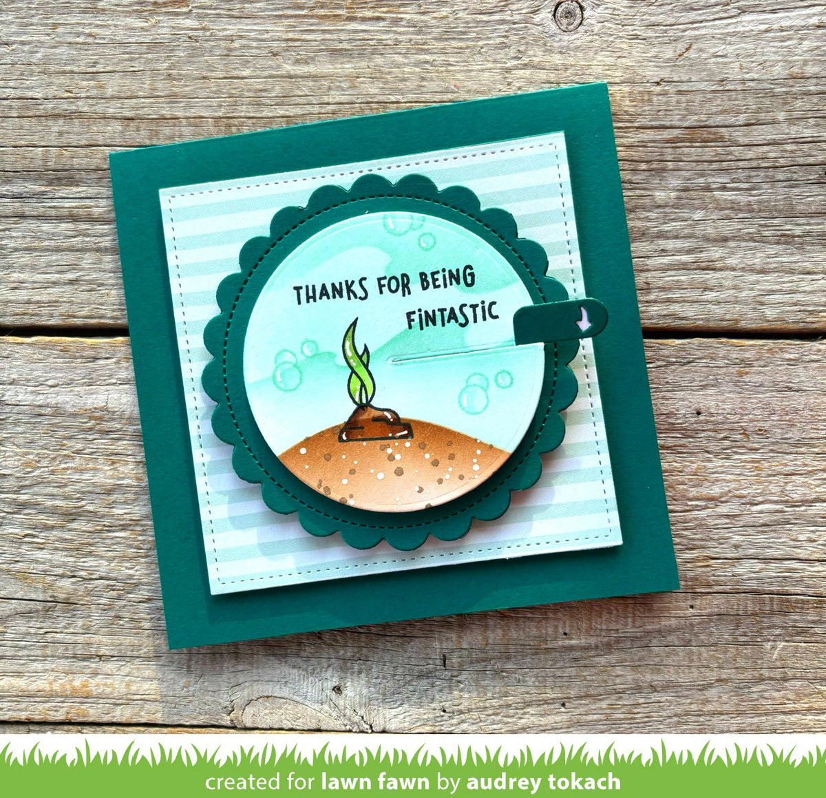 give it a whirl bundle.
