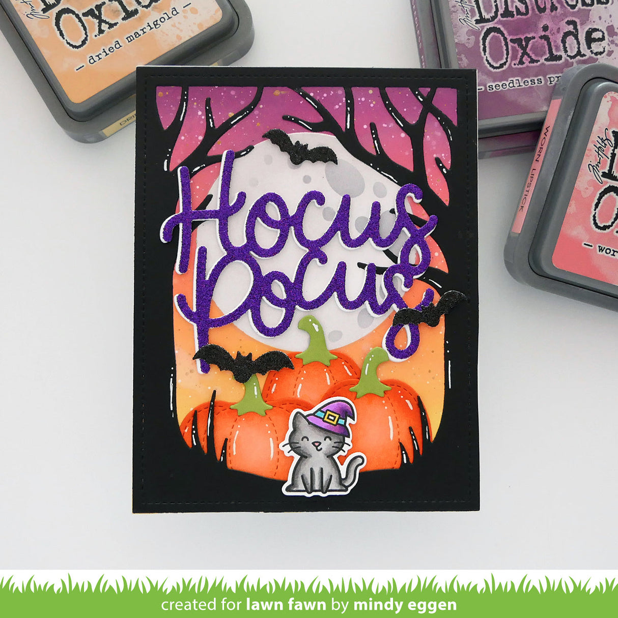 hocus purr-cus!