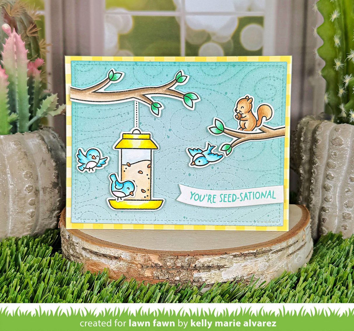 backyard bird feeder