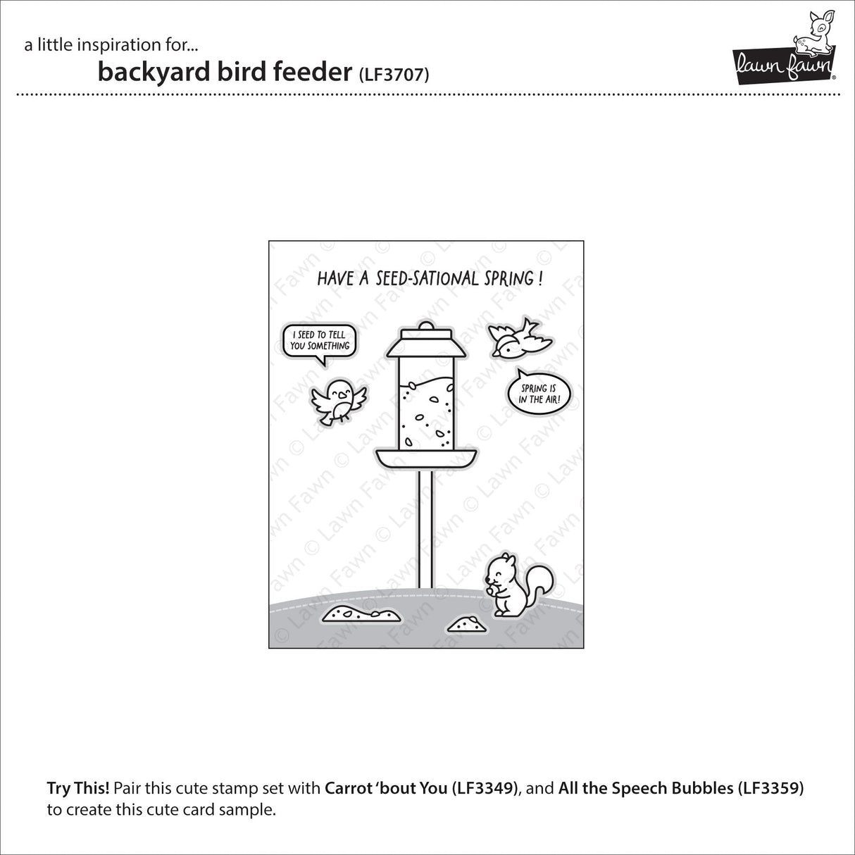 backyard bird feeder