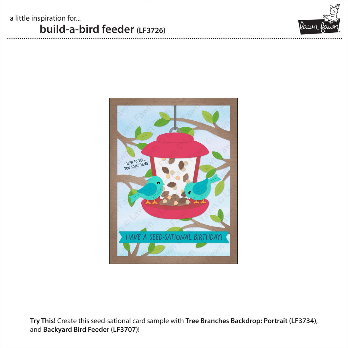 build-a-bird feeder