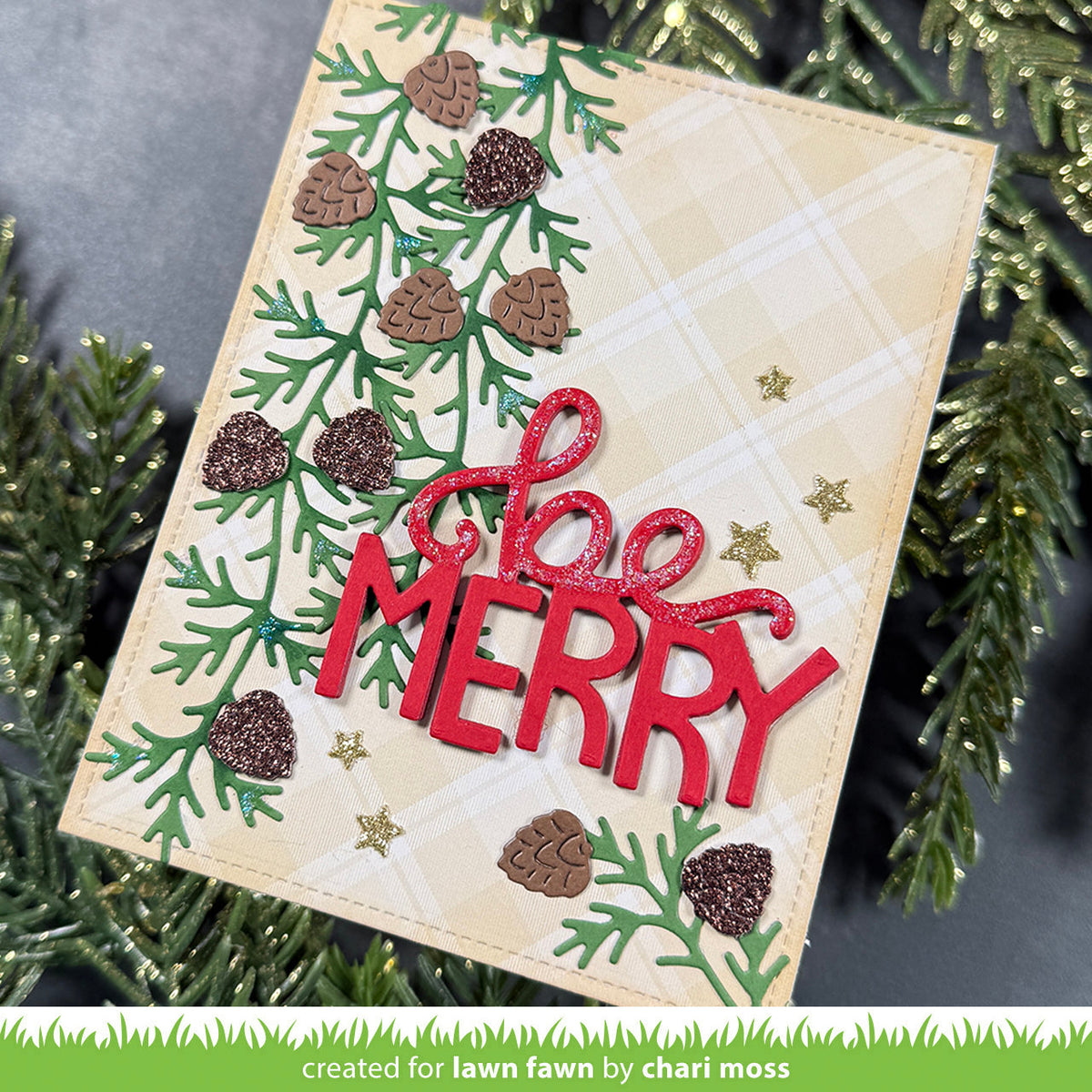pinecone and leaves border