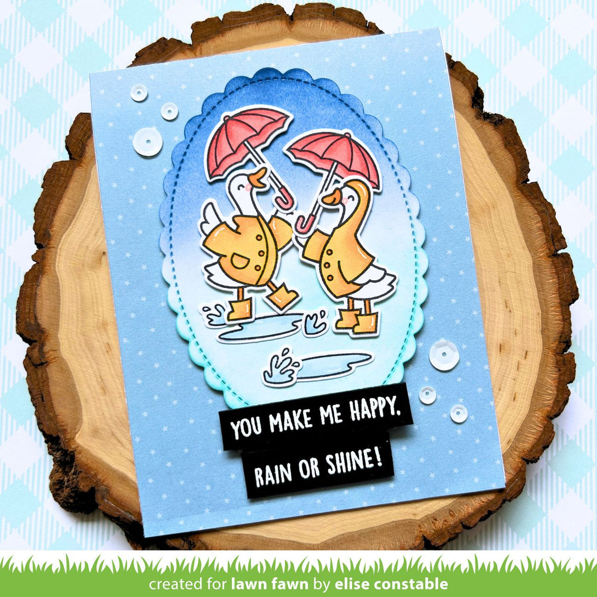 silly goose, rain or shine!