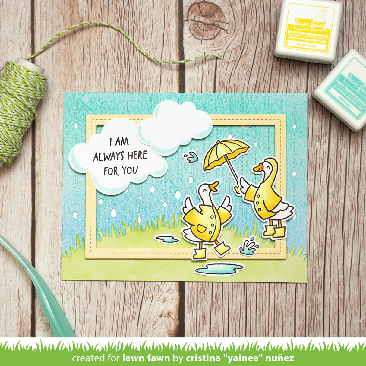 silly goose, rain or shine!