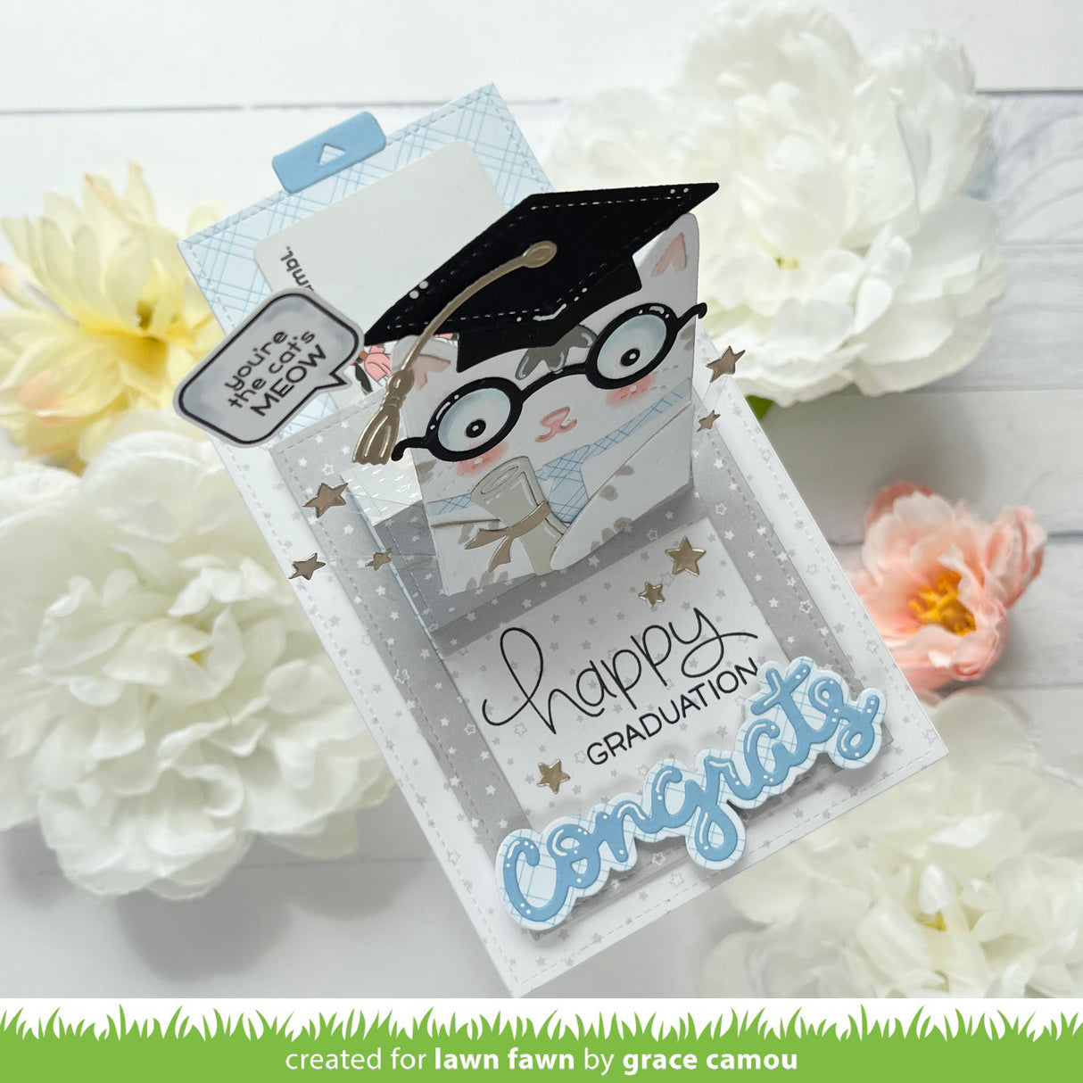 scripty congrats outline add-on