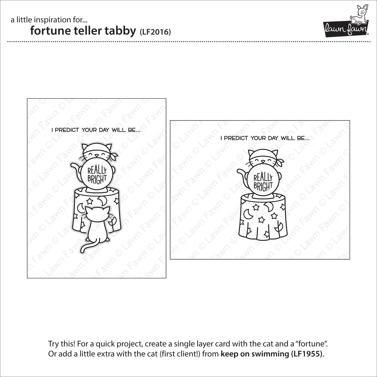 fortune teller tabby