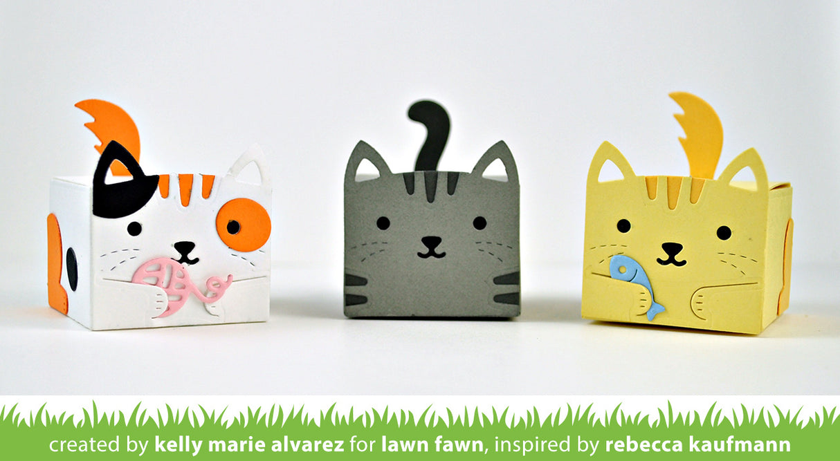 tiny gift box cat add-on