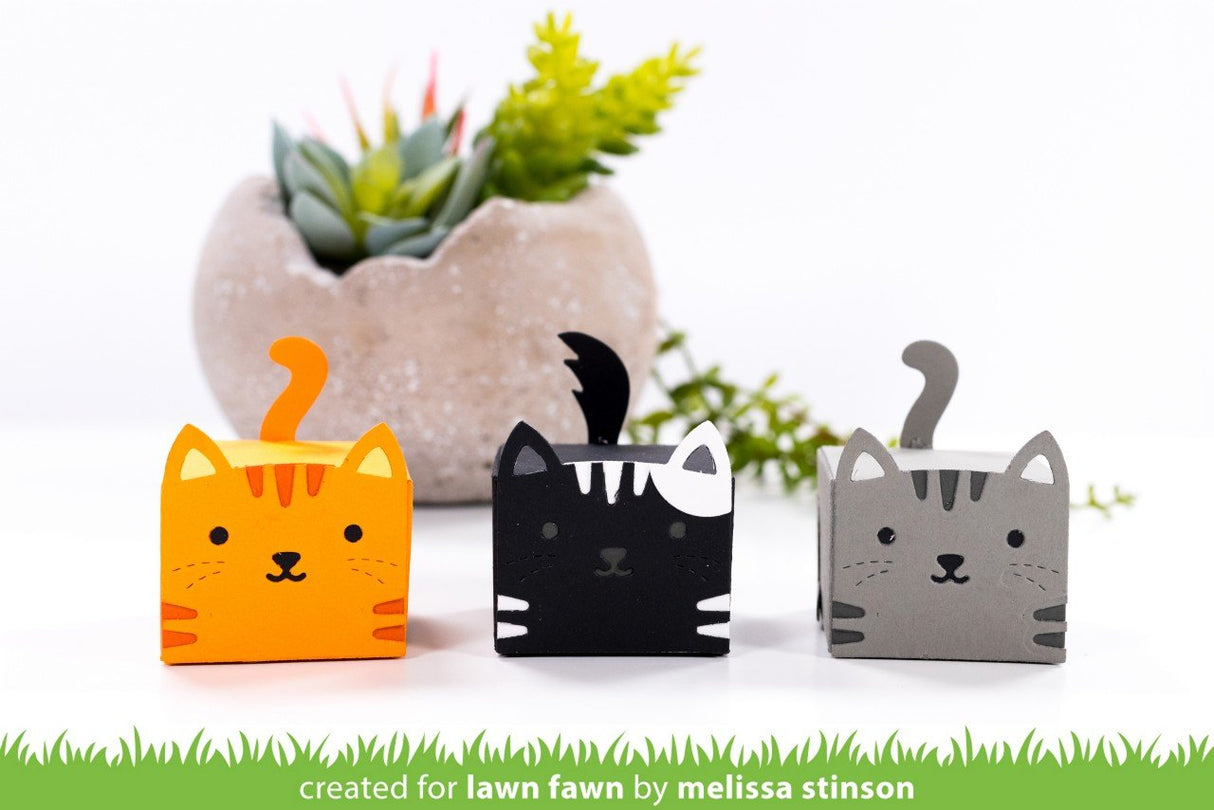 tiny gift box cat add-on