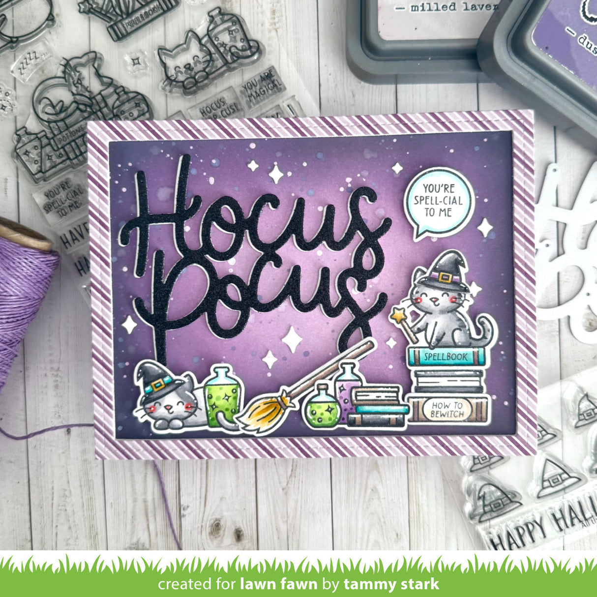 hocus purr-cus!
