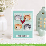 henry's build-a-sentiment: cat