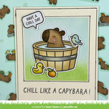 chill, capybara! kids cardmaking kit: mini