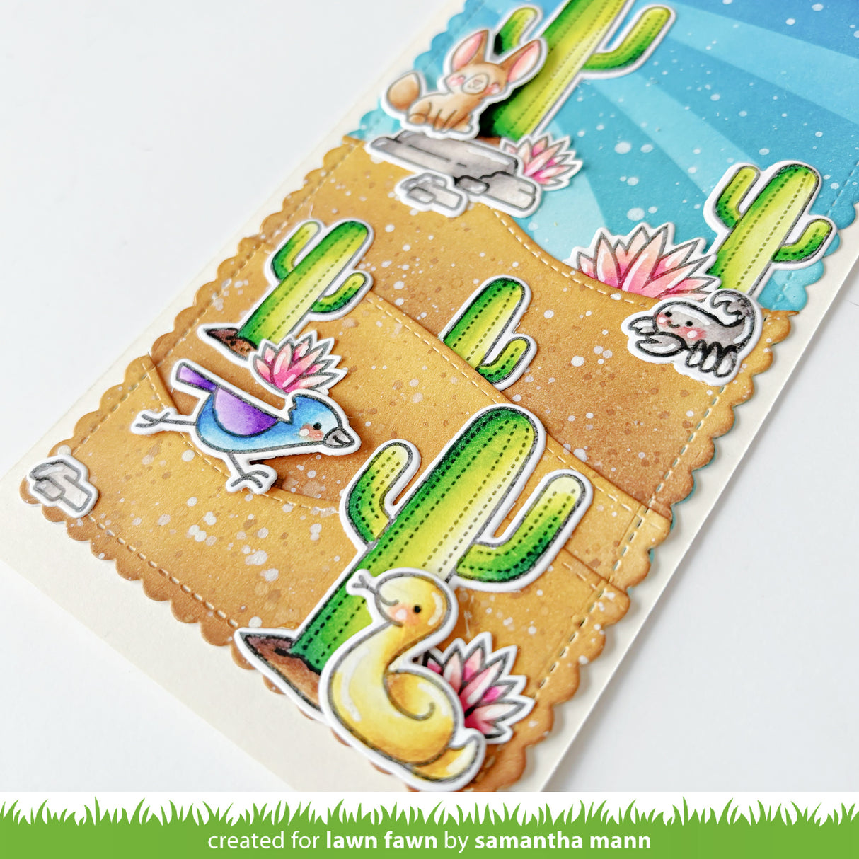 critters in the desert