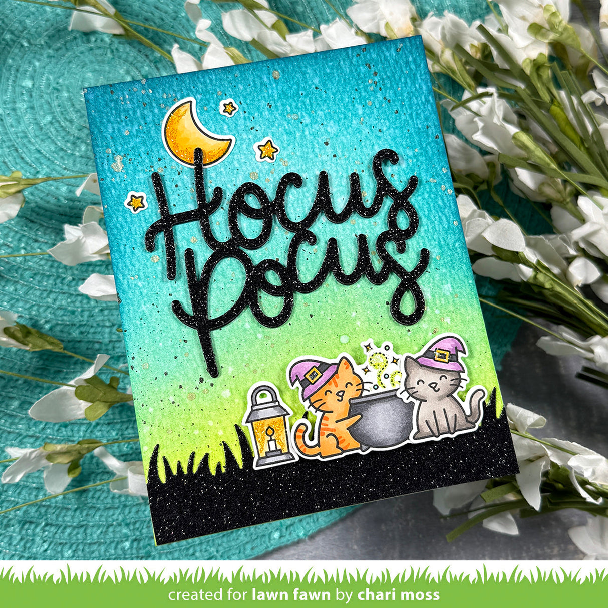 hocus purr-cus!