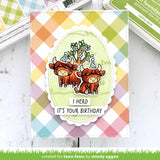 highland cows!