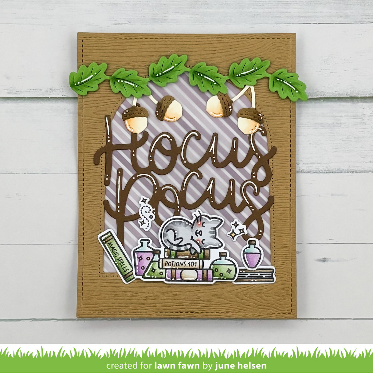 hocus purr-cus!