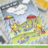 silly goose, rain or shine!