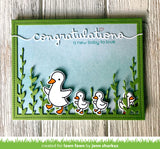 congratulations border