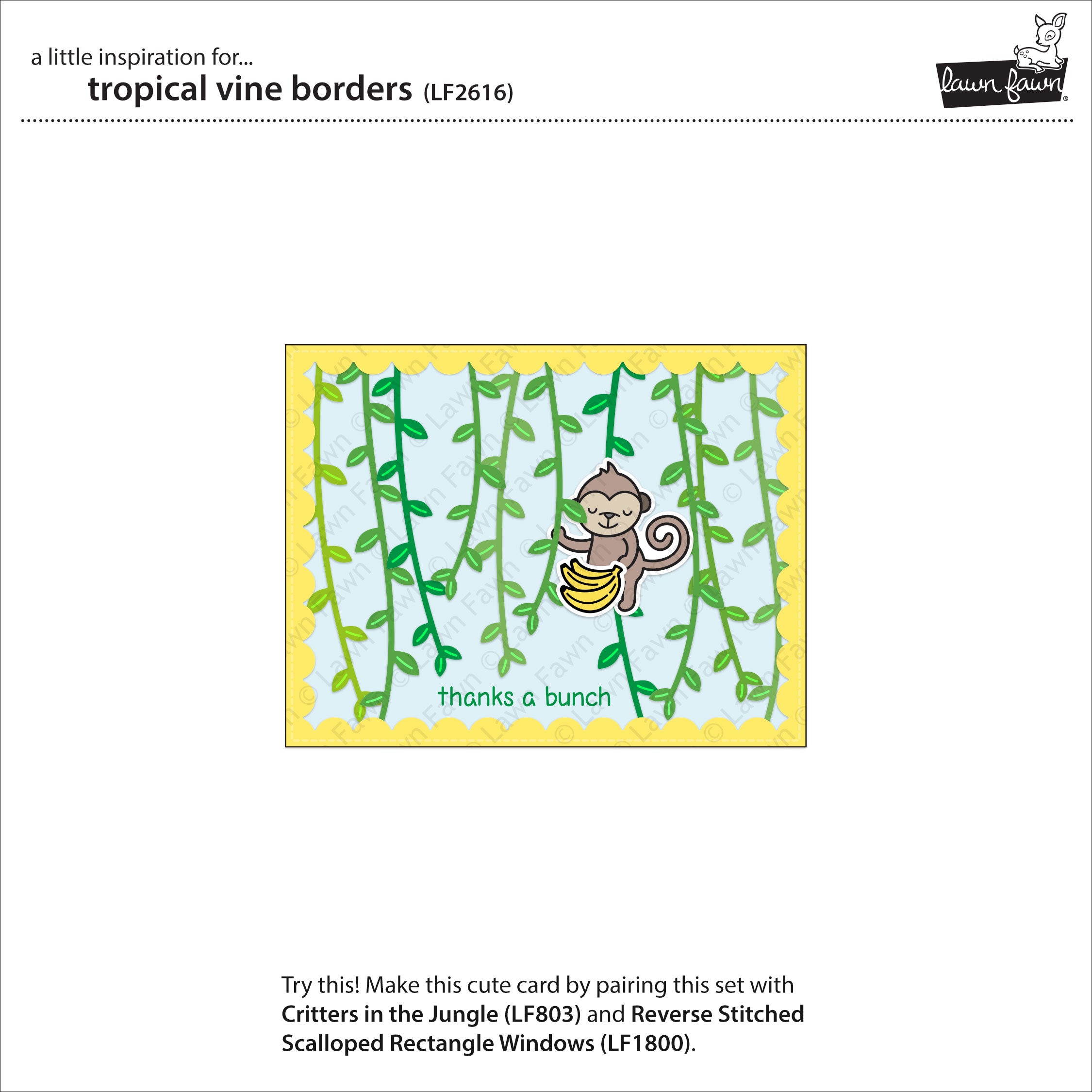 tropical vine borders