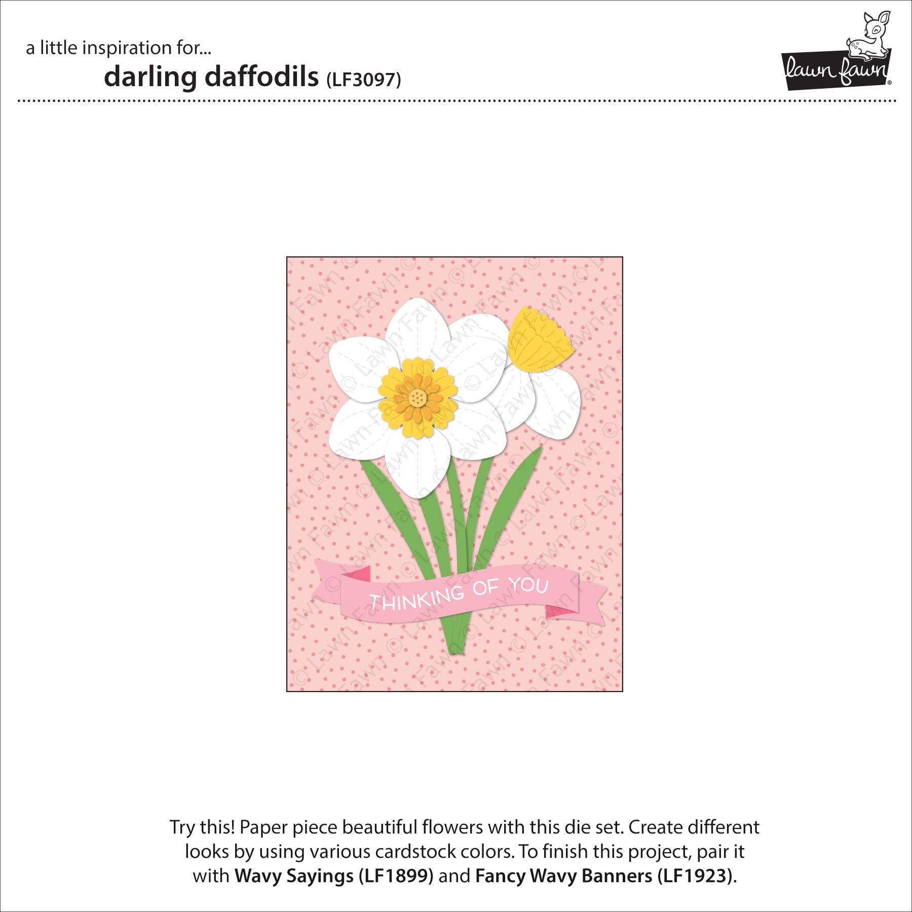 darling daffodils