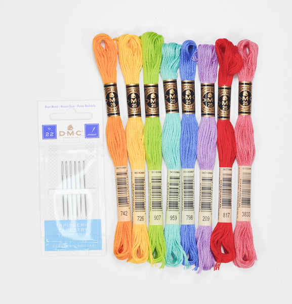 embroidery floss and needle kit