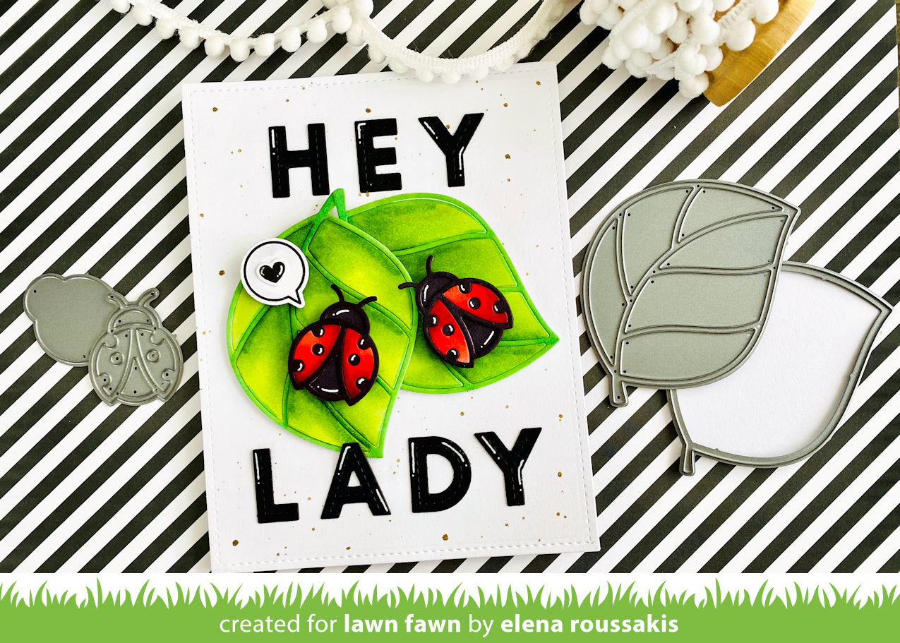 ladybug and leaf