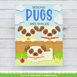 tiny gift box dog add-on