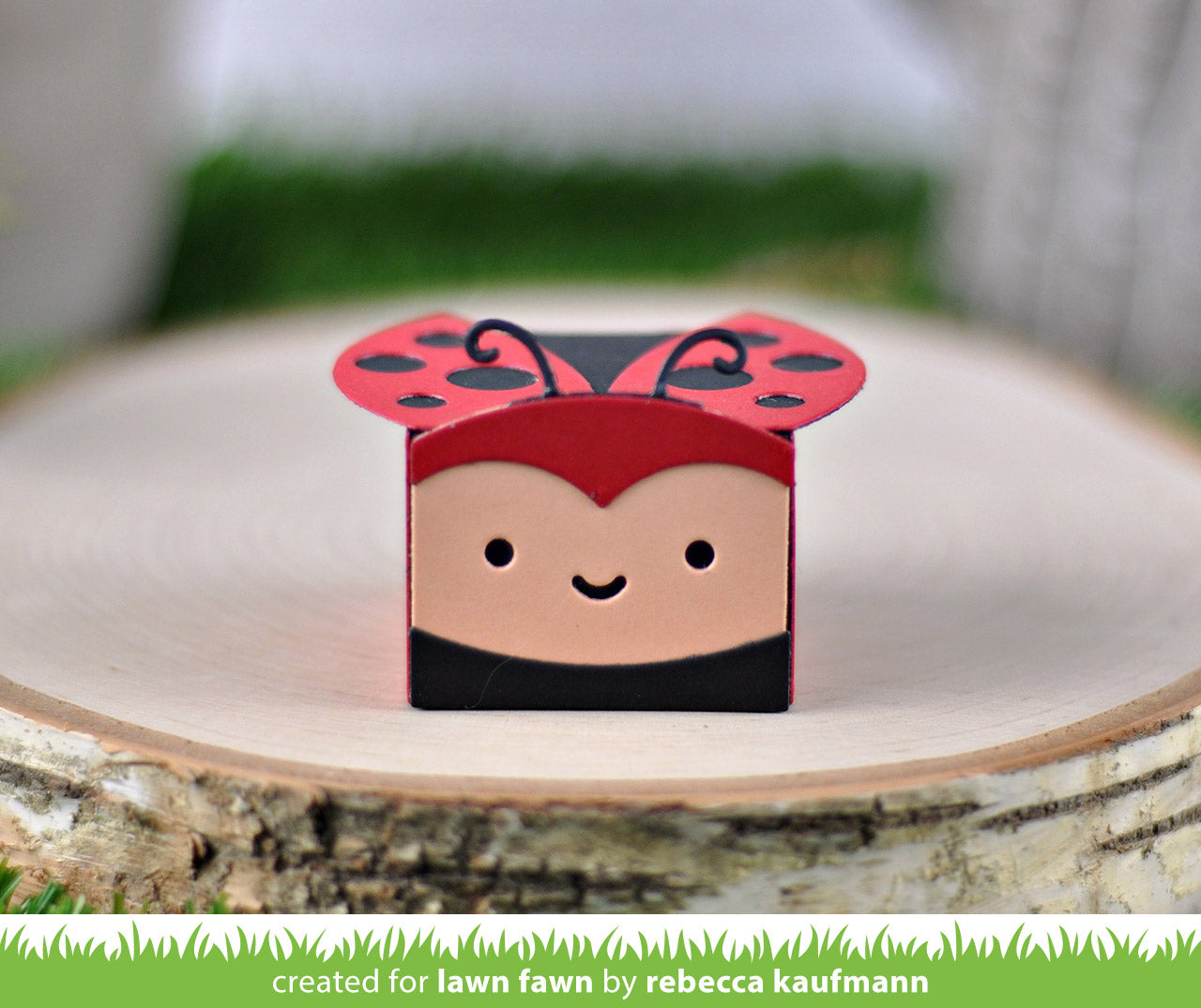 tiny gift box ladybug add-on